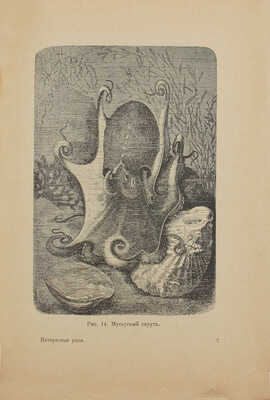 Сысоев В.М. Интересные раки и моллюски. Для семьи, школы и самообразования. (По Брему, Сент-Илеру и др.). М., 1915.